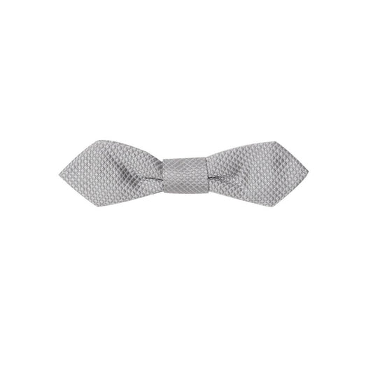 Dolce & Gabbana Silver Silk Ties & Bowty