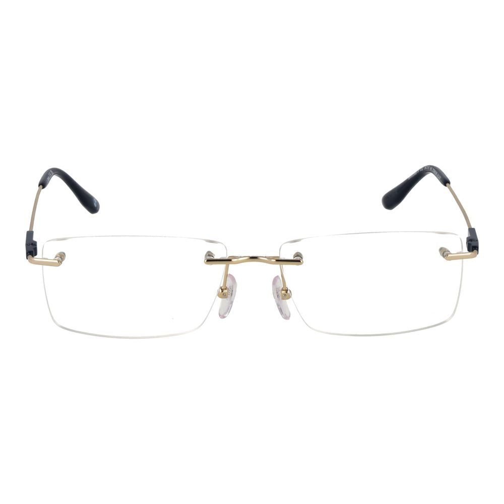 BMW Gold Titanium Glasses (Frames)