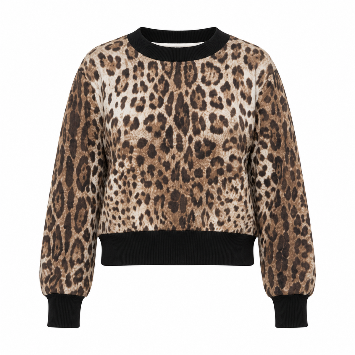 Dolce & Gabbana Brown Cotton Sweatshirt